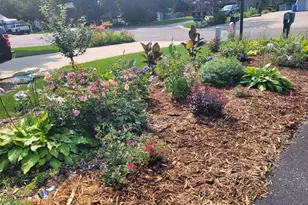 8020 122nd Ln N, Champlin, MN 55316 - Photo 27