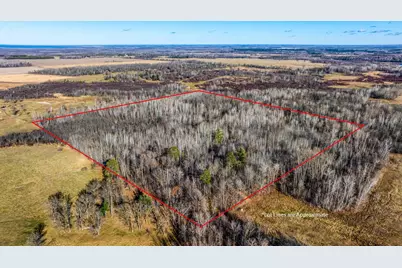 Tbd Gillman Road NE, Puposky, MN 56667 - Photo 5