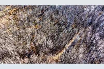 Tbd Gillman Road NE, Puposky, MN 56667 - Photo 9