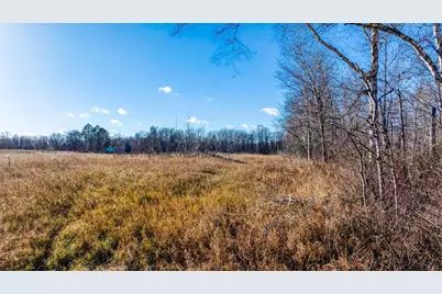 Tbd Gillman Road NE, Puposky, MN 56667 - Photo 3