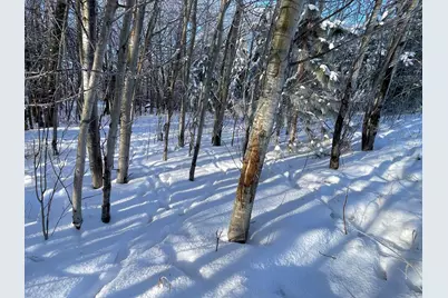 Tbd 161st Avenue, Clearbrook, MN 56634 - Photo 45