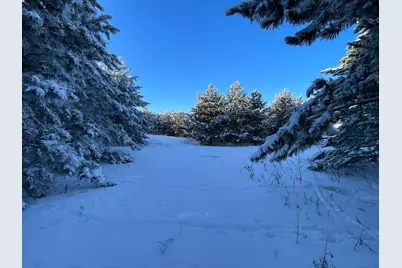 Tbd 161st Avenue, Clearbrook, MN 56634 - Photo 35