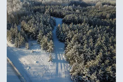 Tbd 161st Avenue, Clearbrook, MN 56634 - Photo 3