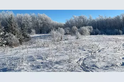 Tbd 161st Avenue, Clearbrook, MN 56634 - Photo 55