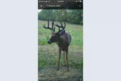 Tbd 161st Avenue, Clearbrook, MN 56634 - Photo 33