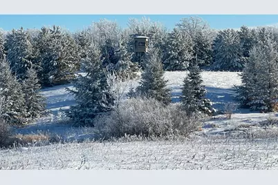 Tbd 161st Avenue, Clearbrook, MN 56634 - Photo 49