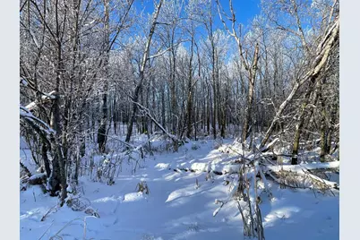 Tbd 161st Avenue, Clearbrook, MN 56634 - Photo 41