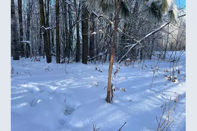 Tbd 161st Avenue, Clearbrook, MN 56634 - Photo 51