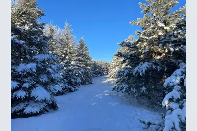 Tbd 161st Avenue, Clearbrook, MN 56634 - Photo 37