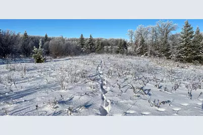 Tbd 161st Avenue, Clearbrook, MN 56634 - Photo 53