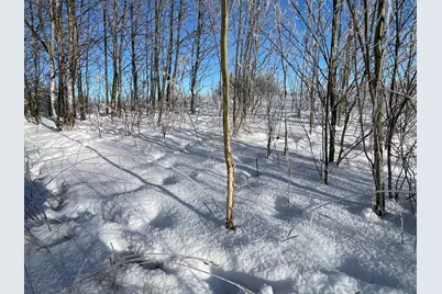 Tbd 161st Avenue, Clearbrook, MN 56634 - Photo 43