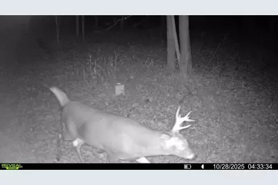 6818 460th Street, Harris, MN 55032 - Photo 11