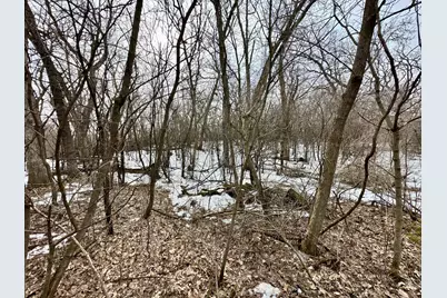 Tbd 270th Street, Clarks Grove, MN 56016 - Photo 45