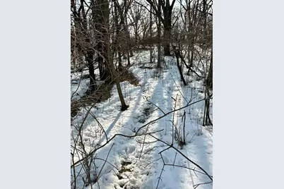 Tbd 270th Street, Clarks Grove, MN 56016 - Photo 19