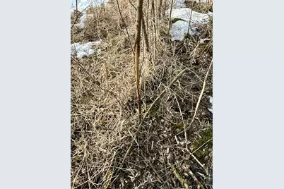 Tbd 270th Street, Clarks Grove, MN 56016 - Photo 29