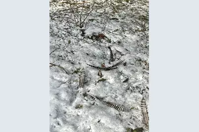 Tbd 270th Street, Clarks Grove, MN 56016 - Photo 37