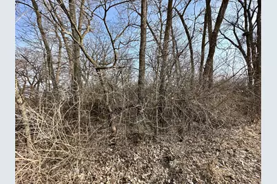 Tbd 270th Street, Clarks Grove, MN 56016 - Photo 11