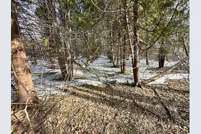 Tbd 270th Street, Clarks Grove, MN 56016 - Photo 21