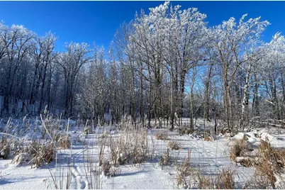 Tbd1 161st Avenue, Clearbrook, MN 56634 - Photo 55