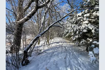 Tbd1 161st Avenue, Clearbrook, MN 56634 - Photo 53