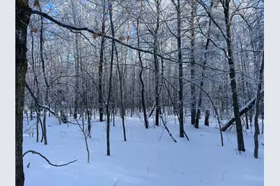 Tbd1 161st Avenue, Clearbrook, MN 56634 - Photo 39