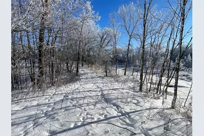 Tbd1 161st Avenue, Clearbrook, MN 56634 - Photo 49