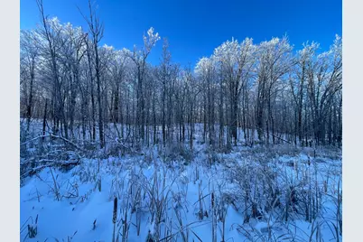 Tbd1 161st Avenue, Clearbrook, MN 56634 - Photo 57