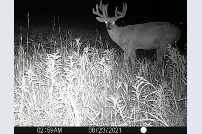 Tbd1 161st Avenue, Clearbrook, MN 56634 - Photo 27