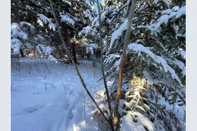 Tbd1 161st Avenue, Clearbrook, MN 56634 - Photo 61