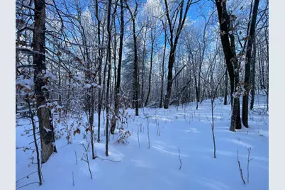 Tbd1 161st Avenue, Clearbrook, MN 56634 - Photo 43