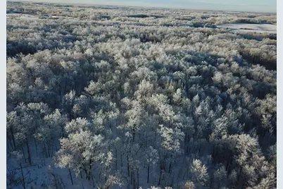 Tbd1 161st Avenue, Clearbrook, MN 56634 - Photo 11