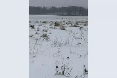 Tbd 395th, Dent, MN 56528 - Photo 5