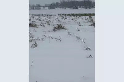 Tbd 395th, Dent, MN 56528 - Photo 3