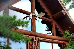 2450 Keyes Is, International Falls, MN 56649 - Photo 5