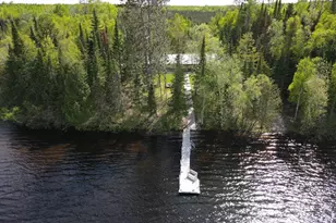 52852 Brush Shanty Lake Rd, Bigfork, MN 56628 - Photo 47