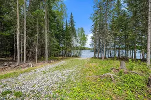 52852 Brush Shanty Lake Rd, Bigfork, MN 56628 - Photo 33