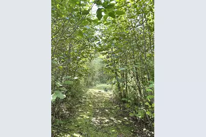 31603 Brook Park Road, Brook Park, MN 55007 - Photo 27