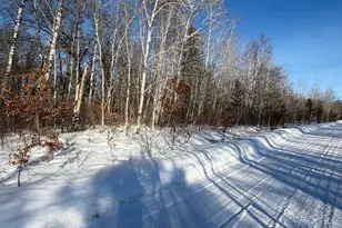 Tbd Tbd County Road 12, Ironton, MN 56455 - Photo 1