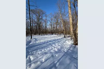 Tbd Tbd County Road 12, Ironton, MN 56455 - Photo 3