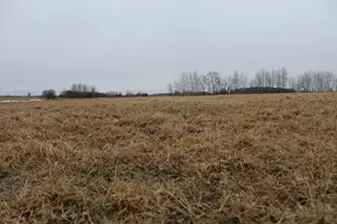 34713 73rd St, Pierz, MN 56364 - Photo 73