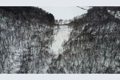 W27022 Whistle Pass Road, Dodge, WI 54661 - Photo 49