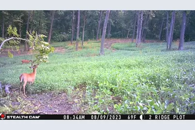 W27022 Whistle Pass Road, Dodge, WI 54661 - Photo 83