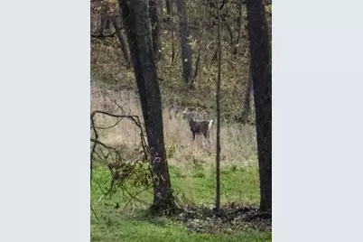 W27022 Whistle Pass Road, Dodge, WI 54661 - Photo 45
