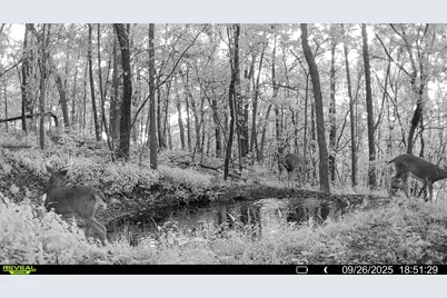 W27022 Whistle Pass Road, Dodge, WI 54661 - Photo 109