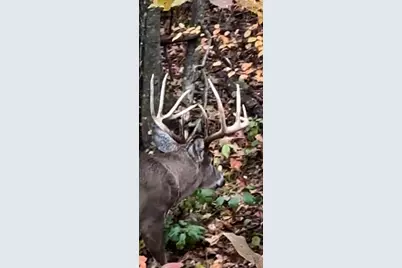 W27022 Whistle Pass Road, Dodge, WI 54661 - Photo 47