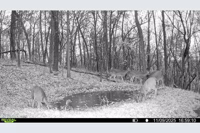 W27022 Whistle Pass Road, Dodge, WI 54661 - Photo 61