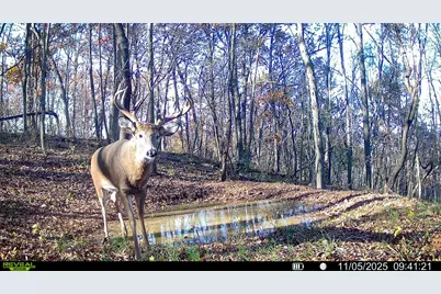 W27022 Whistle Pass Road, Dodge, WI 54661 - Photo 117