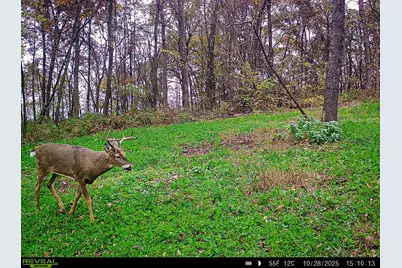 W27022 Whistle Pass Road, Dodge, WI 54661 - Photo 79