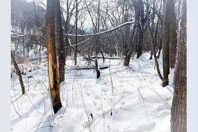 W27022 Whistle Pass Road, Dodge, WI 54661 - Photo 27