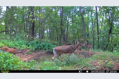 W27022 Whistle Pass Road, Dodge, WI 54661 - Photo 103